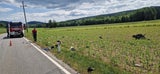 motorrad unfall