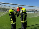 Rabe in Fussballnetz Himberg