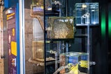 Haus des Meeres