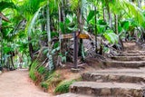Seychellen: Insel-Juwele für Ihre Bucketlist