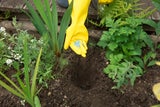 Überraschend: Diese 6 Dinge gehören nicht in Ihren Garten!