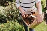 Finger weg! Diese Pflanzen vertragen KEINEN Kaffeesatz als Dünger