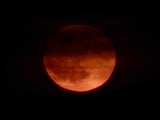 Erdbeermond