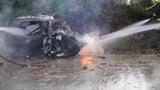 Pkw Brand wienerwald