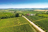 Weingut Veralda mit erstklassigen Lagen in den Buje-Hügeln.&nbsp;&nbsp;