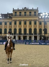 luna schweiger wien