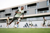 David Alaba