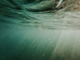 Wasserqualitätsanalyse: In diesen Ländern könnte das Baden gesundheitsgefährdend sein