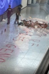 ORF gestürmt: Pro-Palästina-Aktivisten drangen am Küniglberg ein
