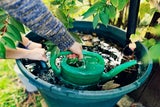 Wasser sparen im Garten: 6 clevere Tipps für heiße Tage