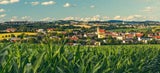 Katsdorf