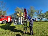 Ballon gegen Baumgruppe gedrückt