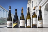 Zusätzlich zum Wiener Gemischten Satz sollen künftig die fünf Rebsorten -&nbsp; Grüner Veltliner, Riesling, Weißburgunder, Chardonnay und Pinot Noir – im neuen Wiener DAC-System aufscheinen.