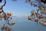 Der beliebteste See Europas liegt im Nachbarland