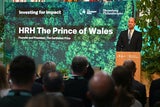 Prinz William