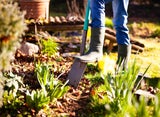 Garten herbstfit machen: Diese Fehler sollten Sie im September vermeiden
