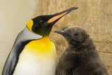 Zoo Schönbrunn