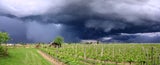 Bauernregel zum Monatsstart: DAS bedeutet Regen im August