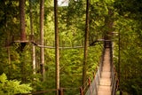 Das sind Wiens schönste Schanigärten 2025