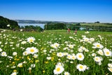 Salzburger Seenland: Der Geheimtipp für jeden Urlaubstyp