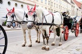 Fiaker Pferde Wien