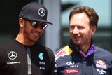 Horner Hamilton
