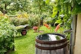 "Ist der Mai kühl und nass,..": Das bedeutet die Bauernregel für Ihren Garten