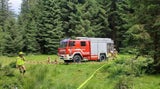 Fleiger pinzgau