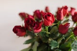 Liebesbotschaften: Die süße Bedeutung hinter den Valentinstagsblumen