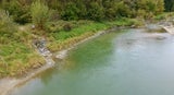 Laut Polizei Pilnaceks Einstiegsstelle ins Wasser des Donauseitenarms.