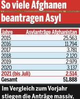 Afghanen: Die echten Abschiebe-Zahlen