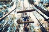 Teneriffa Forestal P