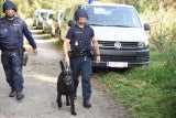 Nach Mord in Baden: Fahndung nach tatverdächtigem Polizisten