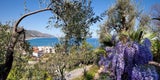 Villa Amelia