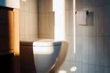 Hätten wir NIE gedacht: Dieses Hausmittel macht Ihre Toilette sauber