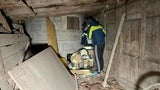 Seit Tagen verschwunden: Kater aus Siloschacht gerettet