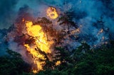 Unser Urlaub in der Feuer-Hölle