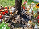 Fall Leonie: Feuer zerstörte Gedenkstätte