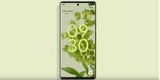 Google Pixel 6 (Pro) mit Top-Ausstattung und Android 12