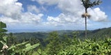 Puerto Rico
