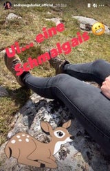Gabalier