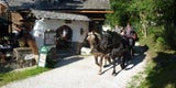 Pferdekutschen Erlebnisfahrten