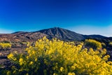 Teneriffa Teide Nationalpark