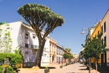Teneriffa La Laguna