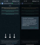 Neue Regeln: WhatsApp sperrt erste Funktion