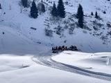 Lawine Kirchberg