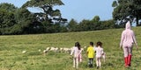 Ob es diese verbrecherische Schafsherde war, die die Familie aus den sanften Träumen riss?&nbsp;
