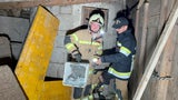 Seit Tagen verschwunden: Kater aus Siloschacht gerettet
