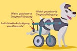 Rollstuhl Hund