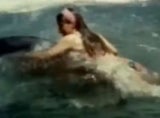 Shamu Angriff